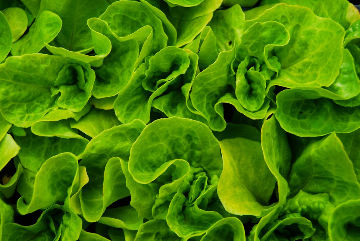 Fibre alimentari e benessere intestinale